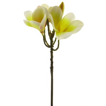 Fiore artificiale di frangipani ZIDONG, giallo-crema, 35 cm