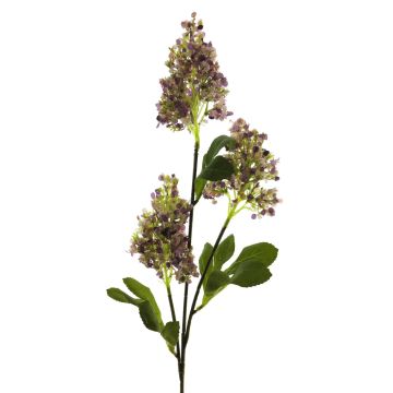 Ramo artificiale di lilla FANGMEI, viola, 80 cm
