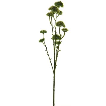 Achillea artificiale SHUOGUO, giallo-verde, 65 cm