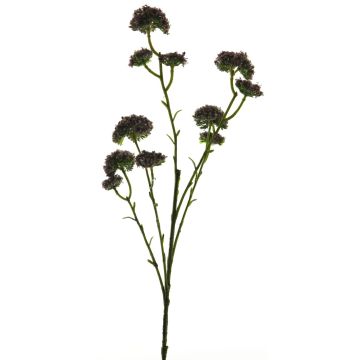 Achillea artificiale SHUOGUO, viola scuro, 65 cm