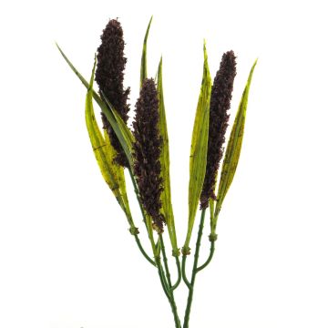 Pennisetum artificiale DEMIN, pannocchie, viola scuro, 28cm