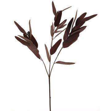 Ramo artificiale di eucalipto YUZIMO con semi, bordeaux, 80cm