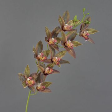 Ramo decorativo di orchidea cymbidium YAMEI, rosso scuro-verde, 80cm