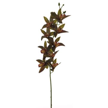 Ramo decorativo di orchidea cymbidium YAMEI, rosso scuro-verde, 80cm