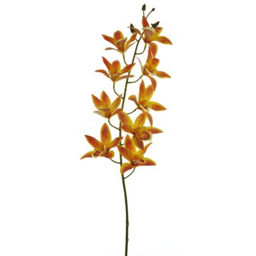 Ramo decorativo di orchidea cymbidium YAMEI, giallo-arancione, 80 cm