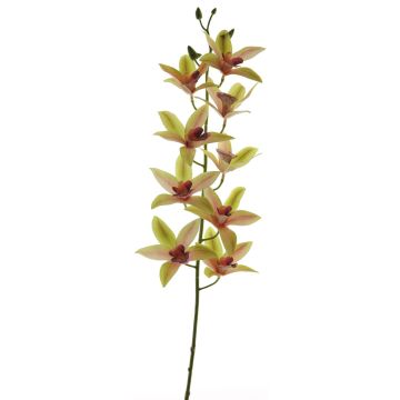 Ramo decorativo di orchidea cymbidium YAMEI, rosa-verde, 80 cm
