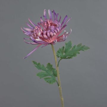 Crisantemo decorativo YASULI, viola, 70cm