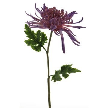 Crisantemo decorativo YASULI, viola, 70cm