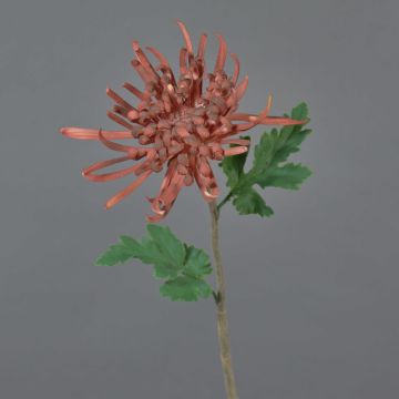 Crisantemo decorativo YASULI, bordeaux, 70cm