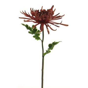 Crisantemo decorativo YASULI, bordeaux, 70cm