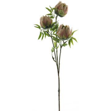 Ramo artificiale di protea LIUJIA, rosa-verde, 75 cm