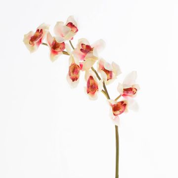 Orchidea Cymbidium di plastica OKSANA, crema-rosa, 80cm, Ø6,5cm
