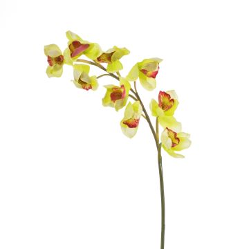 Orchidea Cymbidium di plastica OKSANA, giallo-verde, 80cm, Ø6,5cm