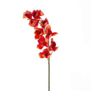 Orchidea Cymbidium finta OKSANA, rosso-arancione, 80cm, Ø6,5cm