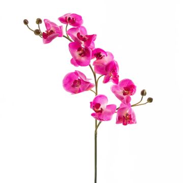 Ramo di orchidea di plastica STINA, fucsia, 90cm, Ø7-9cm