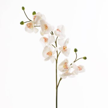 Ramo di orchidea di plastica STINA, bianco, 90cm, Ø7-9cm
