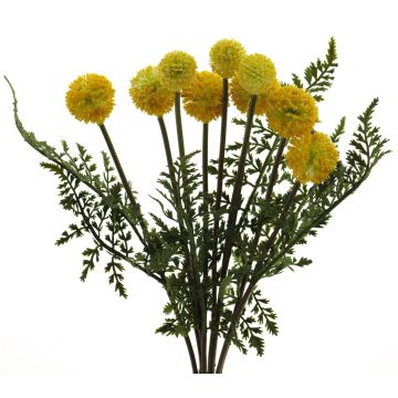 Composizione artificiale di Craspedia MANXIA con felce, stelo, giallo, 40 cm