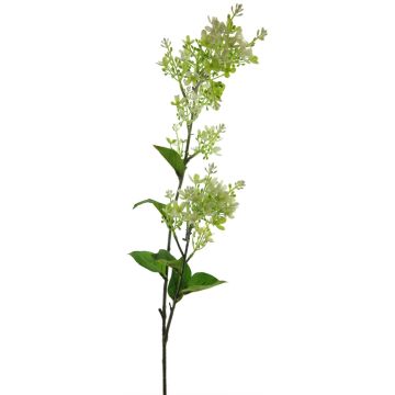 Ramo artificiale di pianta di seta TIANLIN, crema, 90 cm