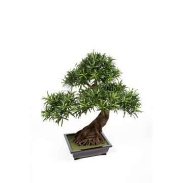 Podocarpo bonsai finto MASAO radici, ciotola ceramica, verde 85cm
