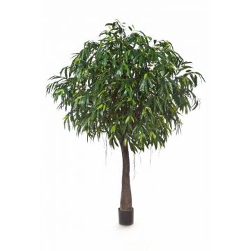 Longifolia artificiale CHAMIL, tronco artificiale, verde, 270cm