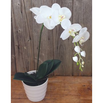 Orchidea Phalaenopsis artificiale SAHRA, vaso decorativo, bianco, 70cm