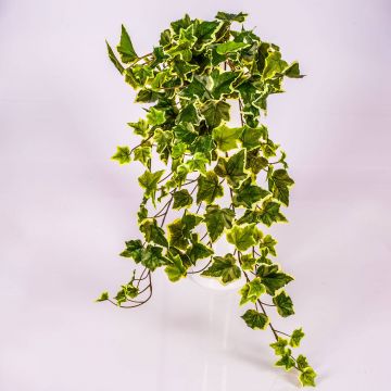 Tralcio di edera sintetica MAJA su stelo, verde-bianco, 70cm