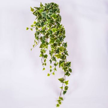 Tralcio di edera sintetica MAJA su stelo, verde-bianco, 100cm