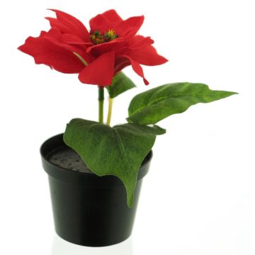 Stella di Natale artificiale NUORU in vaso decorativo, rosso, 15 cm