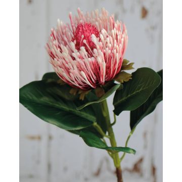 Protea artificiale TANJA, rosa-fucsia, 65cm