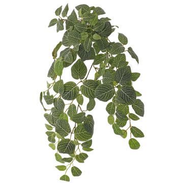 Pianta artificiale Fittonia LONFYN, bastoncino, pendente, verde, 75 cm