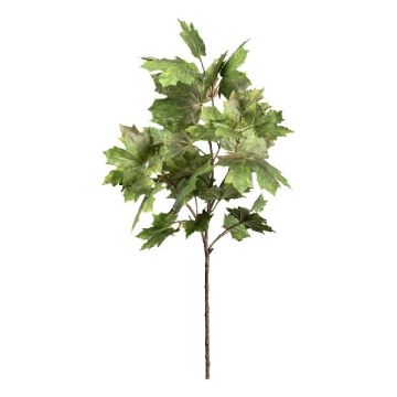 Ramo decorativo Acero VINTRA, verde, 110 cm