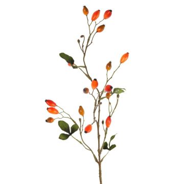 Ramo decorativo di rosa selvatica ZERBST con cinorrodi, arancione-rosso, 80 cm