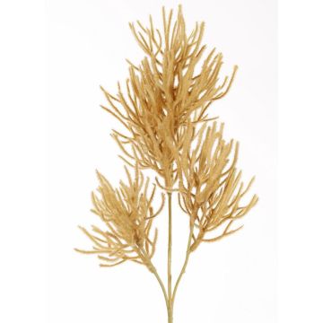 Ramo decorativo corallo BILBAS, marrone chiaro, 70 cm