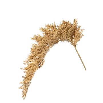 Ramo artificiale di sorgo BOTTO con spighe, beige, 95 cm