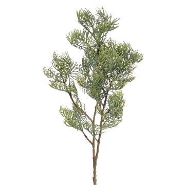 Ramo decorativo di cipresso artificiale SILVARIO, grigio-verde, 75 cm