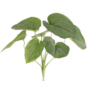 Pianta artificiale Funkie RAIATEA su bastone, verde, 65 cm