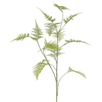 Decorazione ramo Asparagus plumosus UHERA, verde, 140 cm