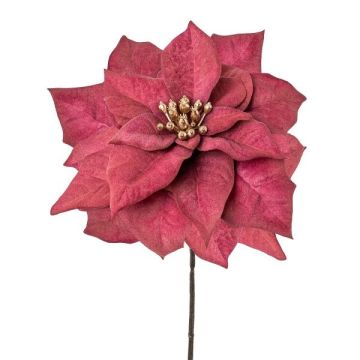 Stella di Natale in velluto ZEPYRIS, rosso bordeaux, 55 cm