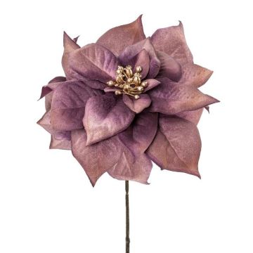 Stella di Natale in velluto ZEPYRIS, viola, 55 cm