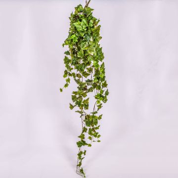 Tralcio di edera sintetica MAJA su stelo, verde, 120cm