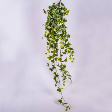 Tralcio di edera sintetica MAJA su stelo, verde-bianco, 120cm