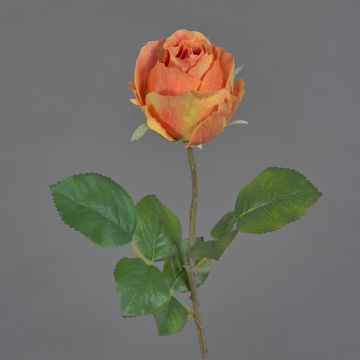 Fiore artificiale rosa POPI, arancione-rosa, 55 cm, Ø7 cm