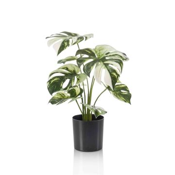 Fake Philodendron Monstera Deliciosa Variegata ZAINE, verde-bianco, 40 cm
