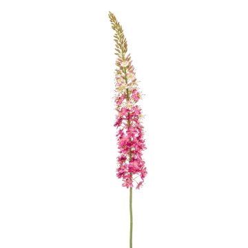 Grande fiore artificiale Candela della steppa NITTI, rosa, 130 cm