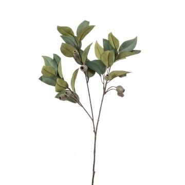 Ramo artificiale di eucalipto VIZIMIR con frutti, verde, 80 cm