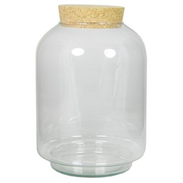 Terrario per piante KONDO con coperchio in sughero, vetro, trasparente, 25 cm, Ø 17 cm