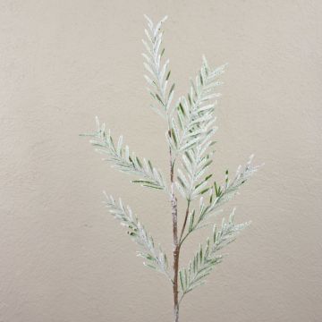 Ramo di cipresso in plastica ZHARANTE, innevato, verde, 75 cm