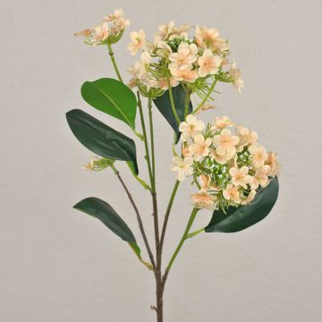 Ramo artificiale di viburno LINDIWE, albicocca-crema, 70 cm