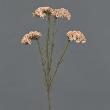 Fiore artificiale spartina AYISHA, effetto secco, bianco crema, 65 cm