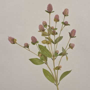 Ramo artificiale di amaranto sferico TUSIUNE, effetto secco, rosa antico, 70 cm